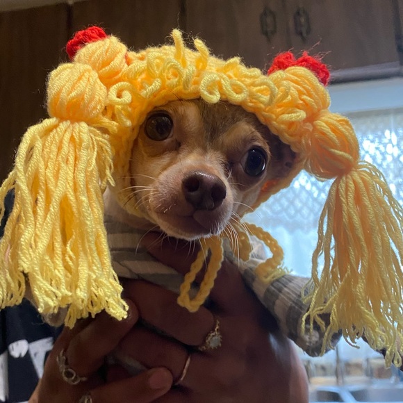 Meet your Posher, Nora - Picture 5 of 16